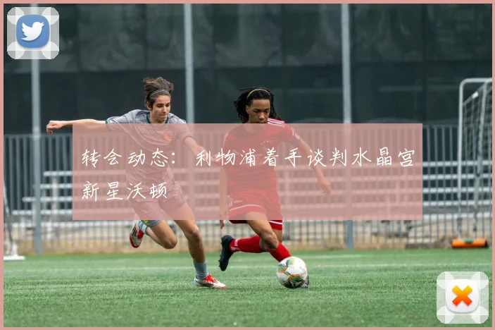 转会动态：利物浦着手谈判水晶宫新星沃顿