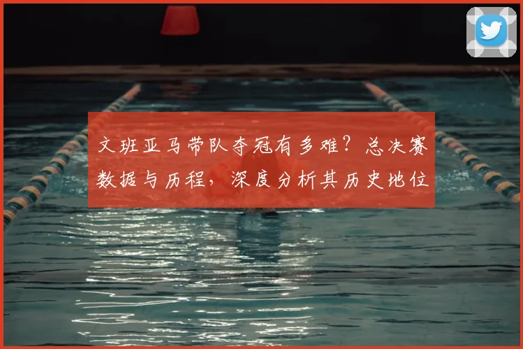 文班亚马带队夺冠有多难？总决赛数据与历程，深度分析其历史地位前景